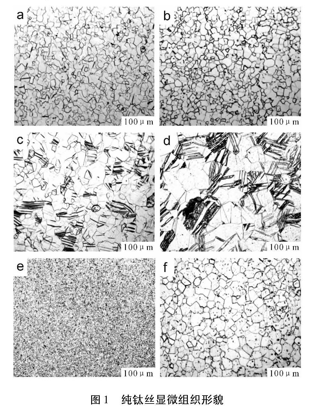 1614486460913265.jpg a3.jpg