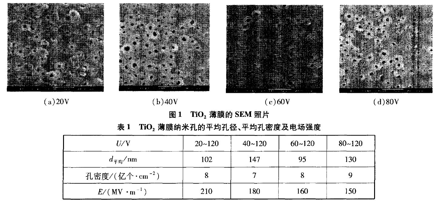 電壓對鈦陽極氧化薄膜形貌的影響 電壓對鈦陽極氧化薄膜形貌的影響