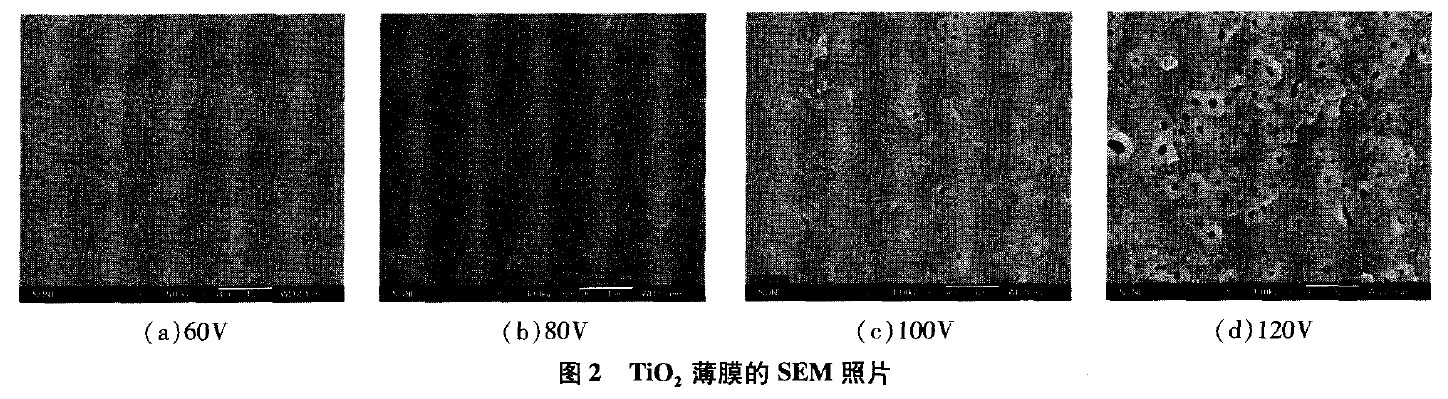 電壓對鈦陽極氧化薄膜的影響 電壓對鈦陽極氧化薄膜的影響