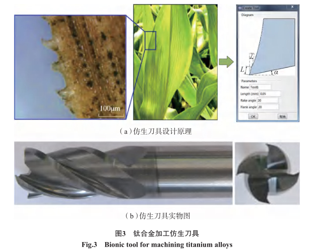 1650897967224257.jpg t3.jpg