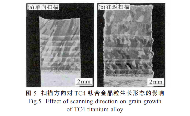 1664155497809946.jpg t5.jpg