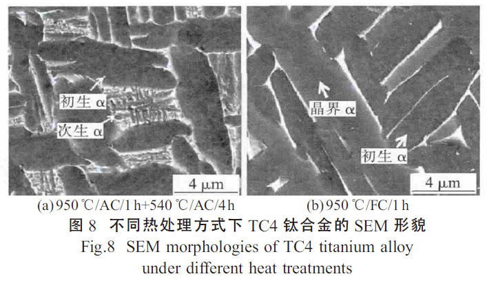 1664155535865179.jpg t8.jpg