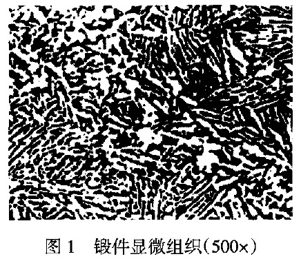 1665410290961492.jpg t1.jpg