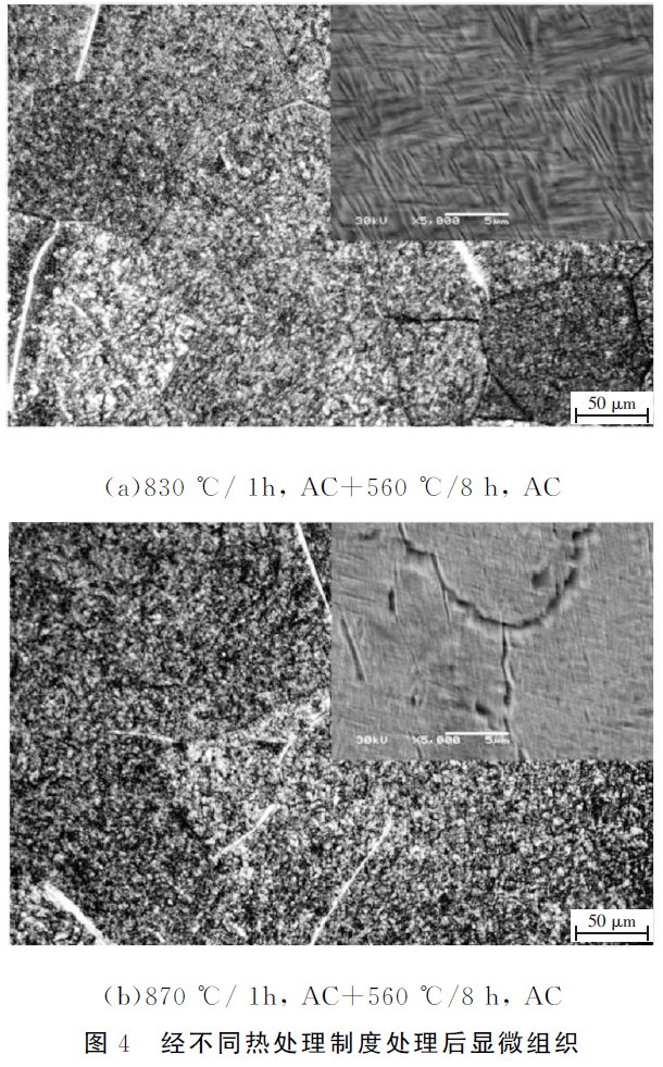 1677486734709414.jpg t4.jpg