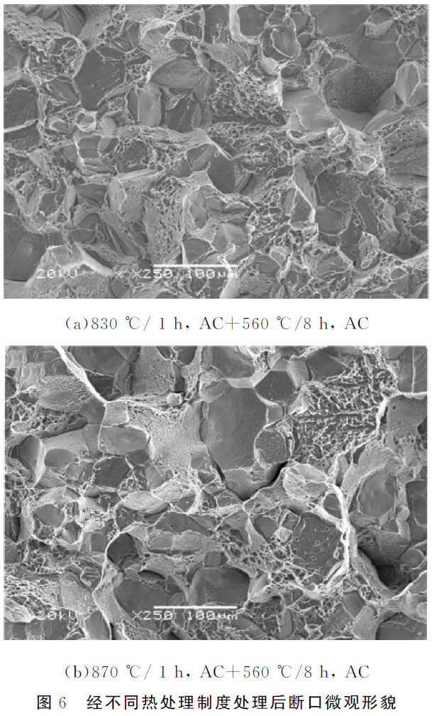 1677486754807280.jpg t6.jpg