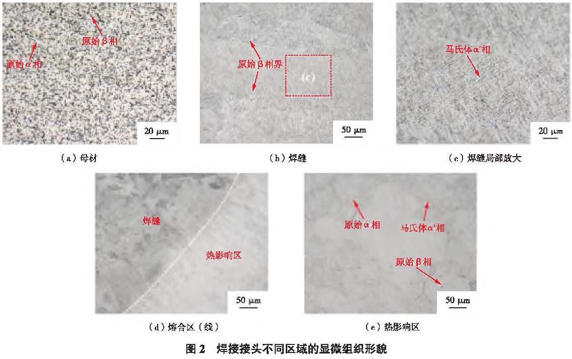 1681132893719302.jpg t2.jpg