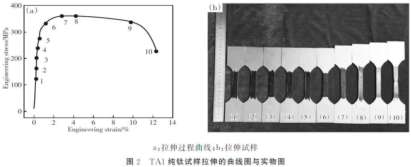1686197620202319.jpg t2.jpg