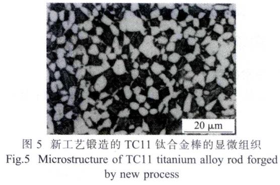 1687099075620630.jpg t5.jpg