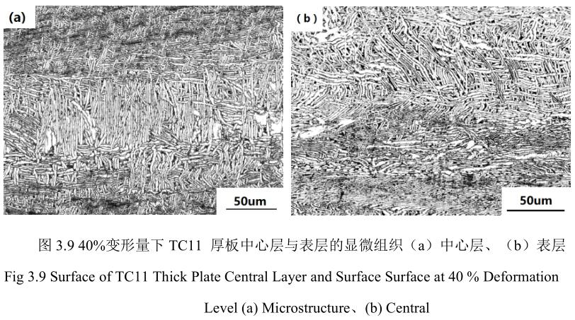 1688990386751122.jpg t3-9.jpg
