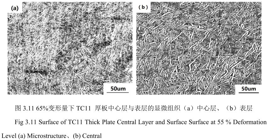 1688990423894136.jpg t3-11.jpg