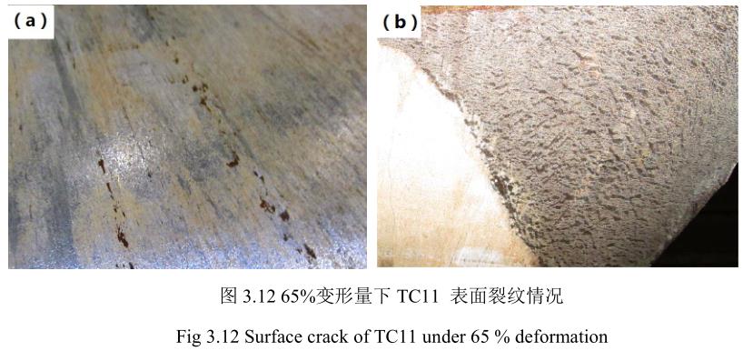 1688990437124645.jpg t3-12.jpg