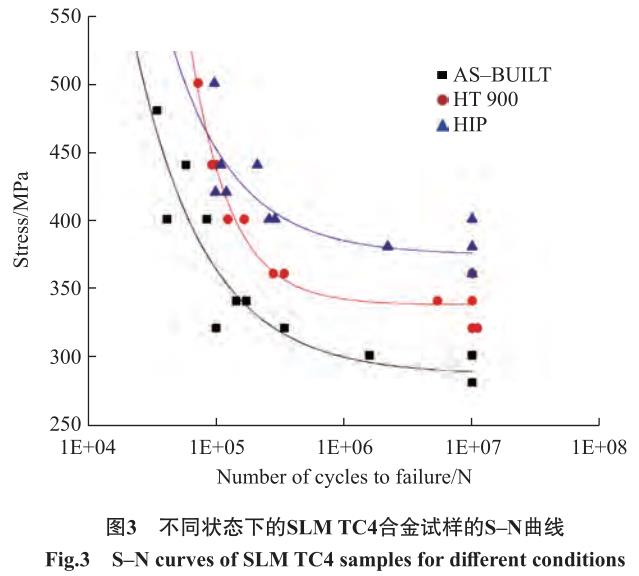 1692456146981791.jpg t3.jpg