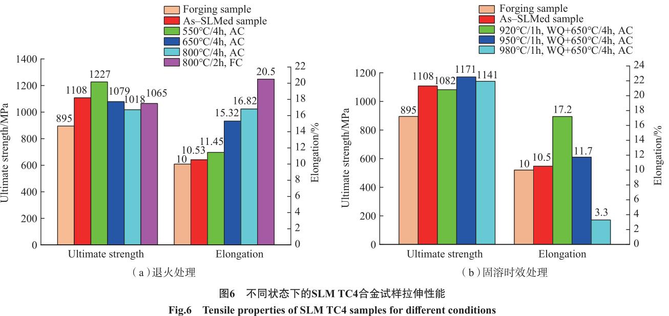 1692456201610245.jpg t6.jpg