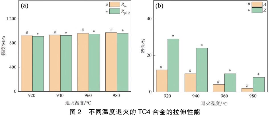 1694384544748975.jpg t2.jpg