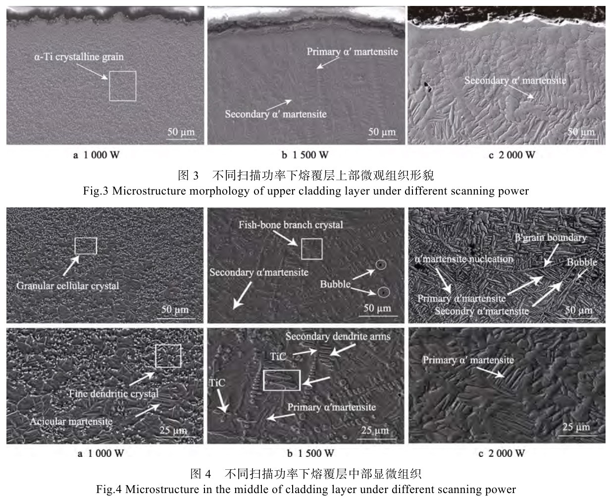 1694485310618750.jpg t3-4.jpg