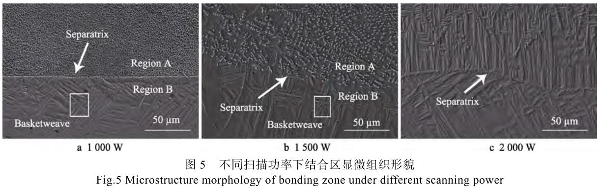 1694485318785624.jpg t5.jpg