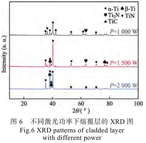 1694485334259971.jpg t6.jpg