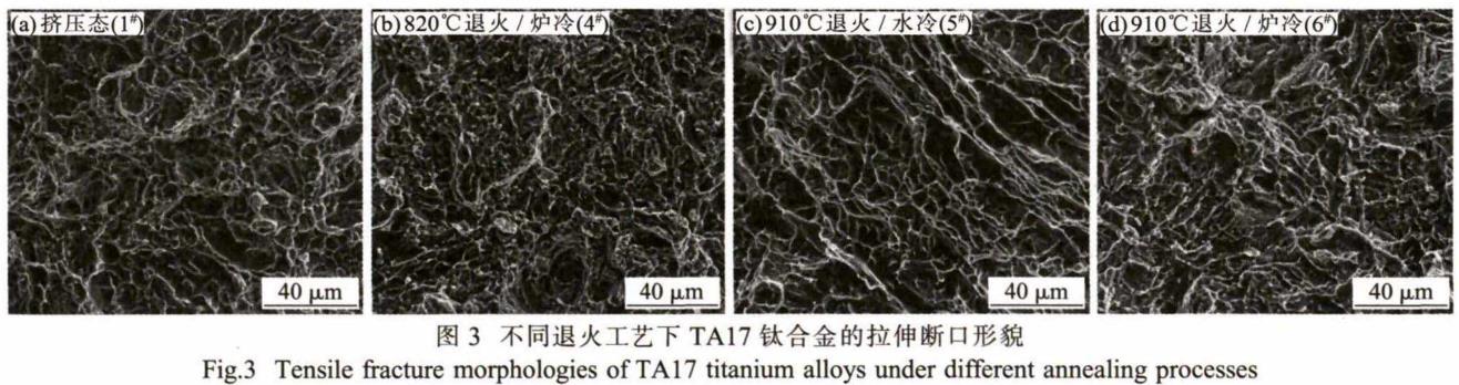 1696424243341811.jpg t3.jpg