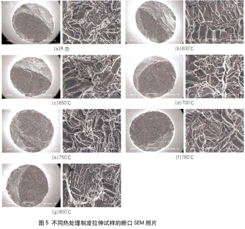 1697512057260408.jpg t5.jpg