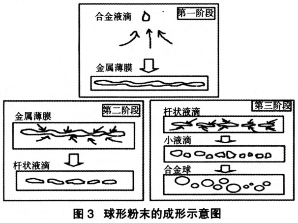 1700569585745944.jpg t3.jpg