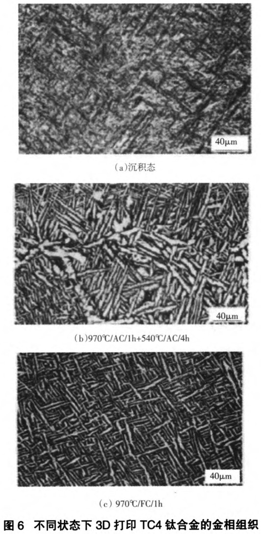 1700569630828019.jpg t6.jpg