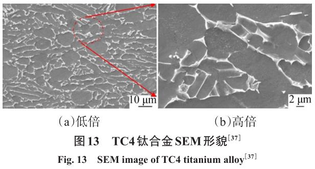 1704879479644315.jpg t13.jpg