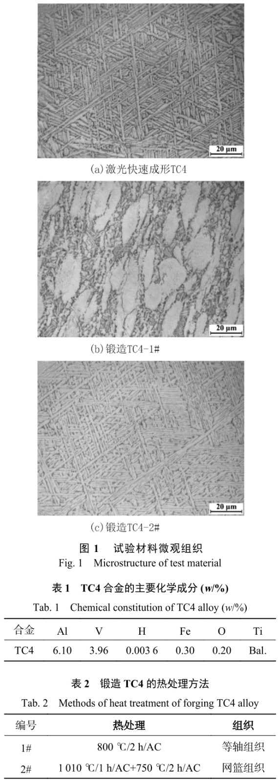 1704958364332206.jpg t1-b1-b2.jpg