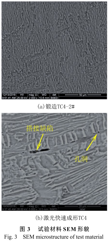 1704958384661934.jpg t3.jpg