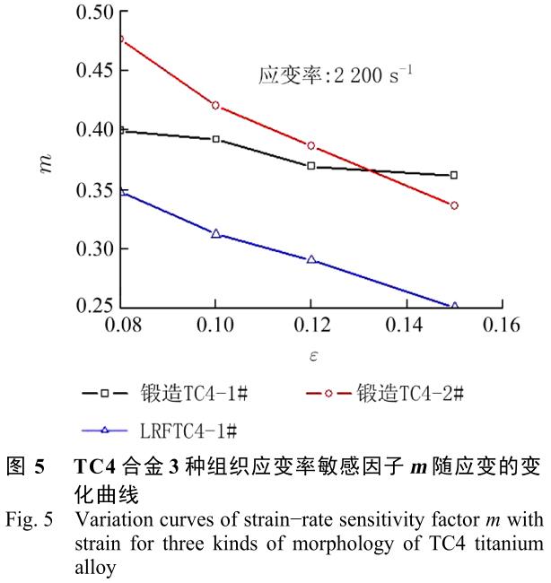 1704958401400532.jpg t5.jpg