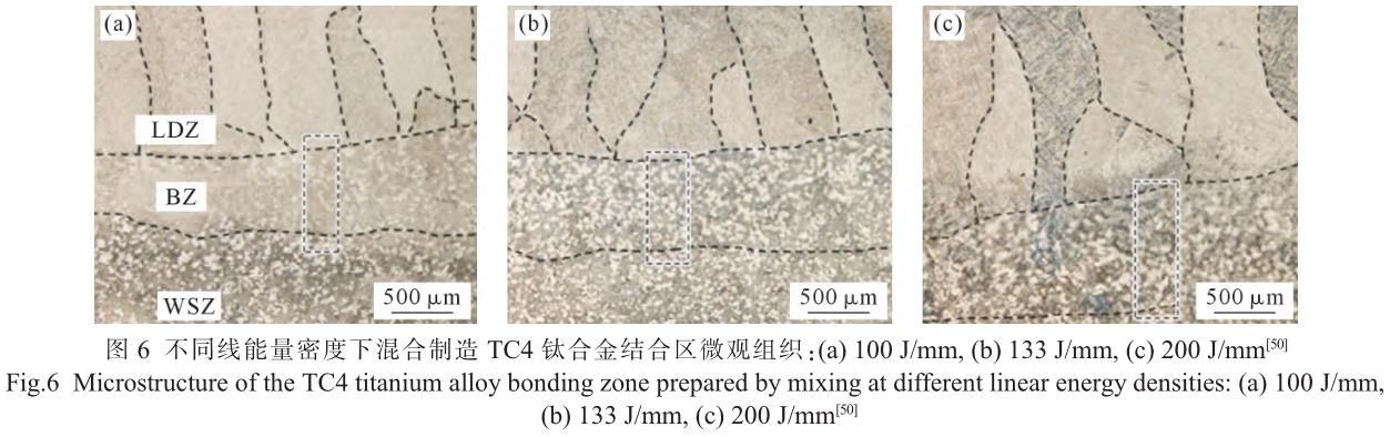 1705821568365997.jpg t6.jpg