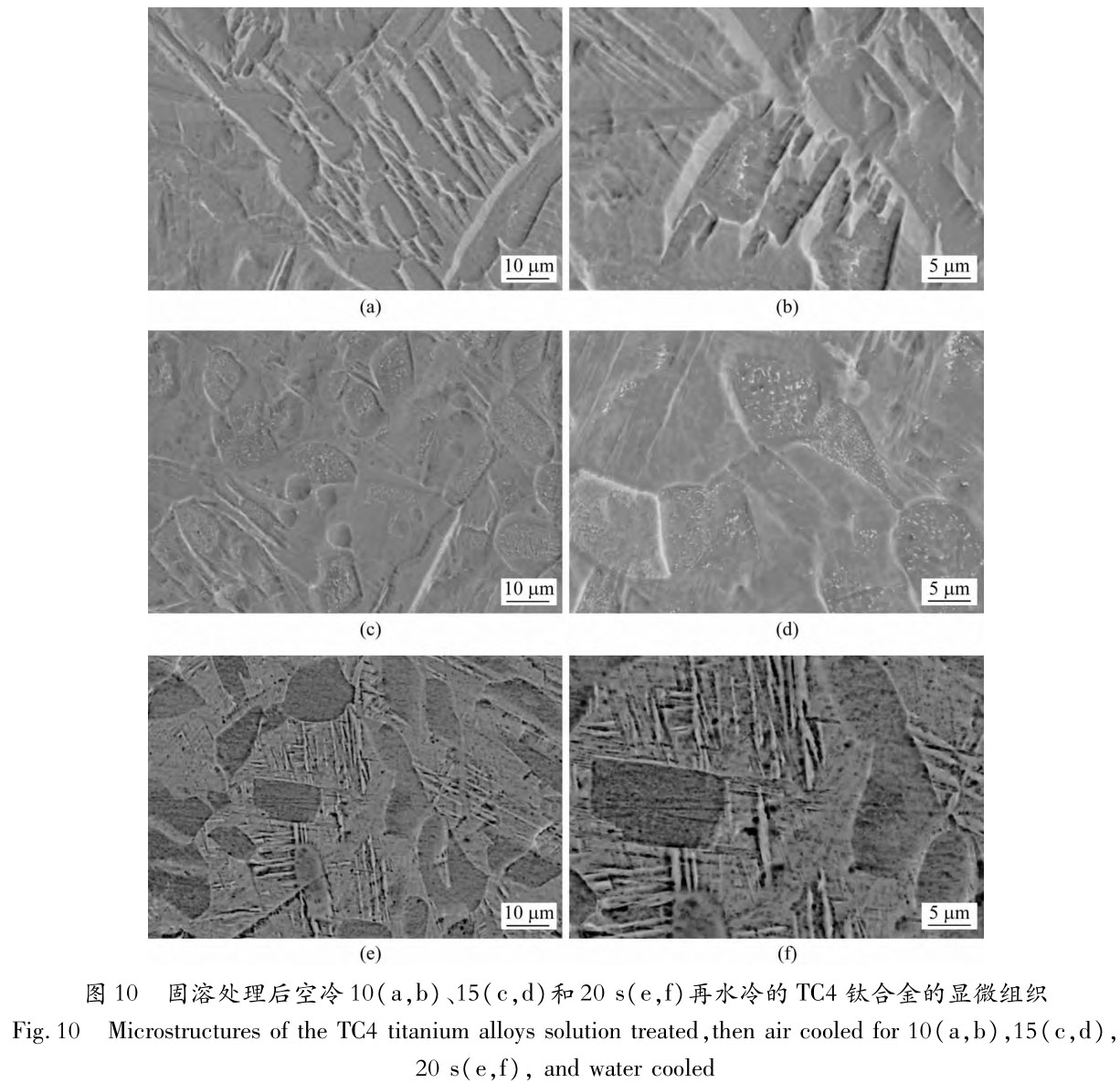 1705831303860034.jpg t10.jpg