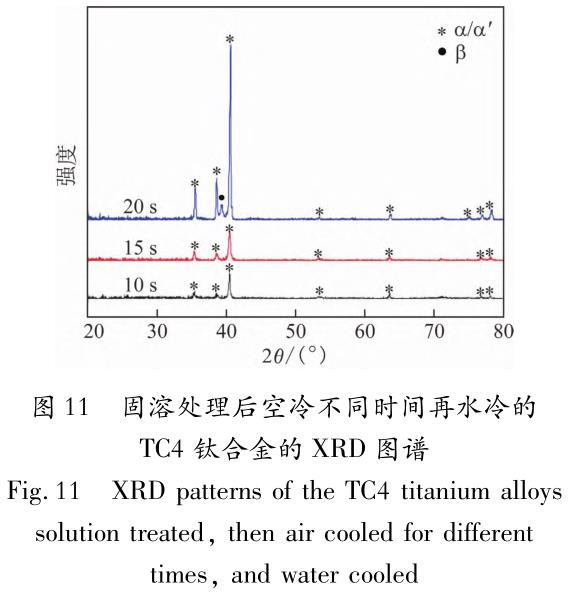 1705831322744106.jpg t11.jpg