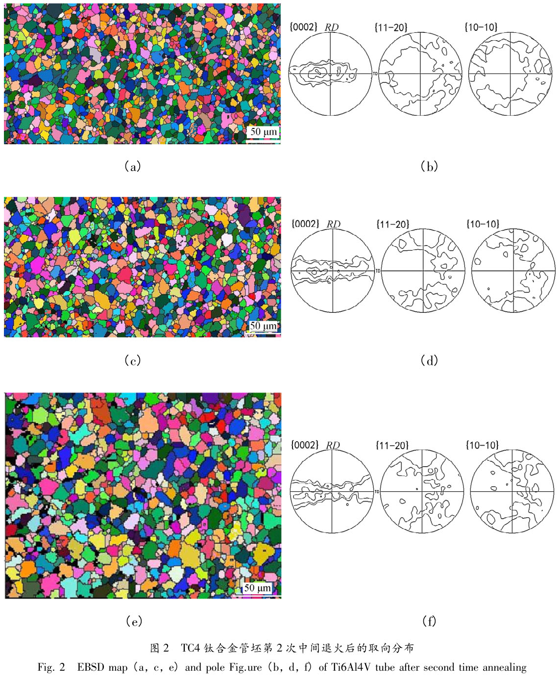 1705838303422368.jpg t2.jpg