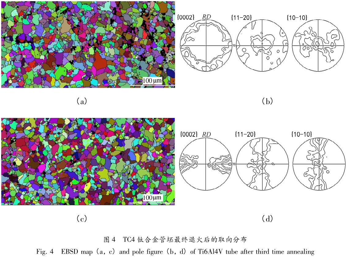 1705838373640597.jpg t4.jpg