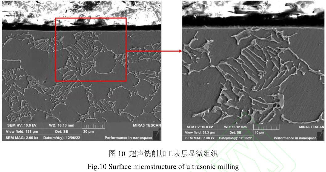 1705891947281844.jpg t10.jpg