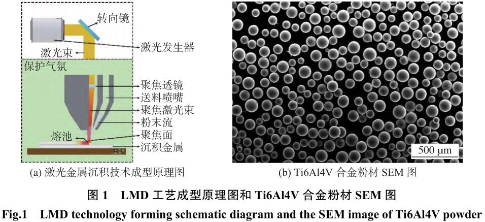 1708357243368708.jpg t1.jpg