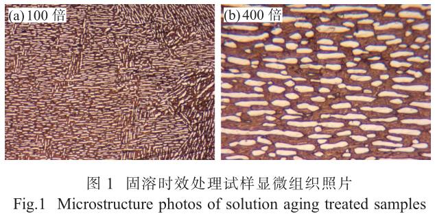 1710845555490116.jpg t1.jpg