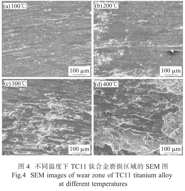 1710845584378795.jpg t4.jpg